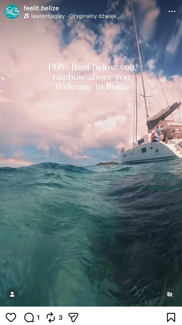Sailing and reef life with Feel It Belize